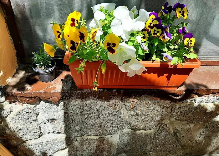 Rooms More בית אירוח