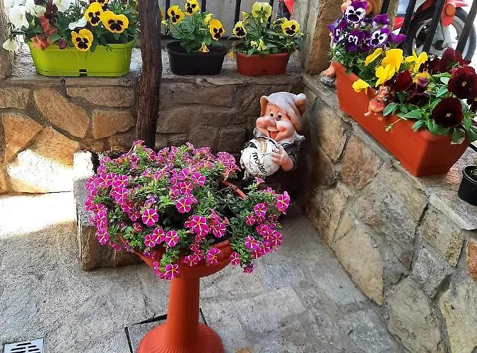 Rooms More * סוזופול